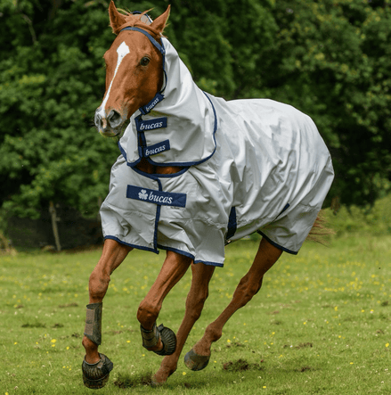 Bucas Sun Shower Regen Outdoordeken Outdoordeken - Maddelin Equestrian Bucas