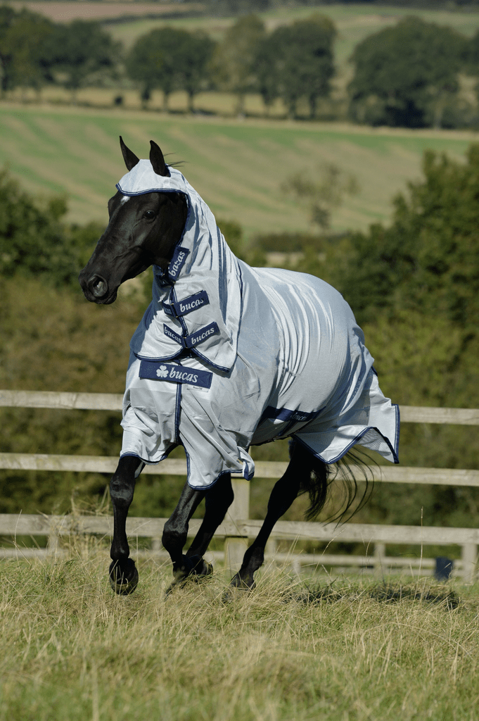 Bucas Sweet - itch Light X Eczeemdeken Vliegendekens - Maddelin Equestrian Bucas