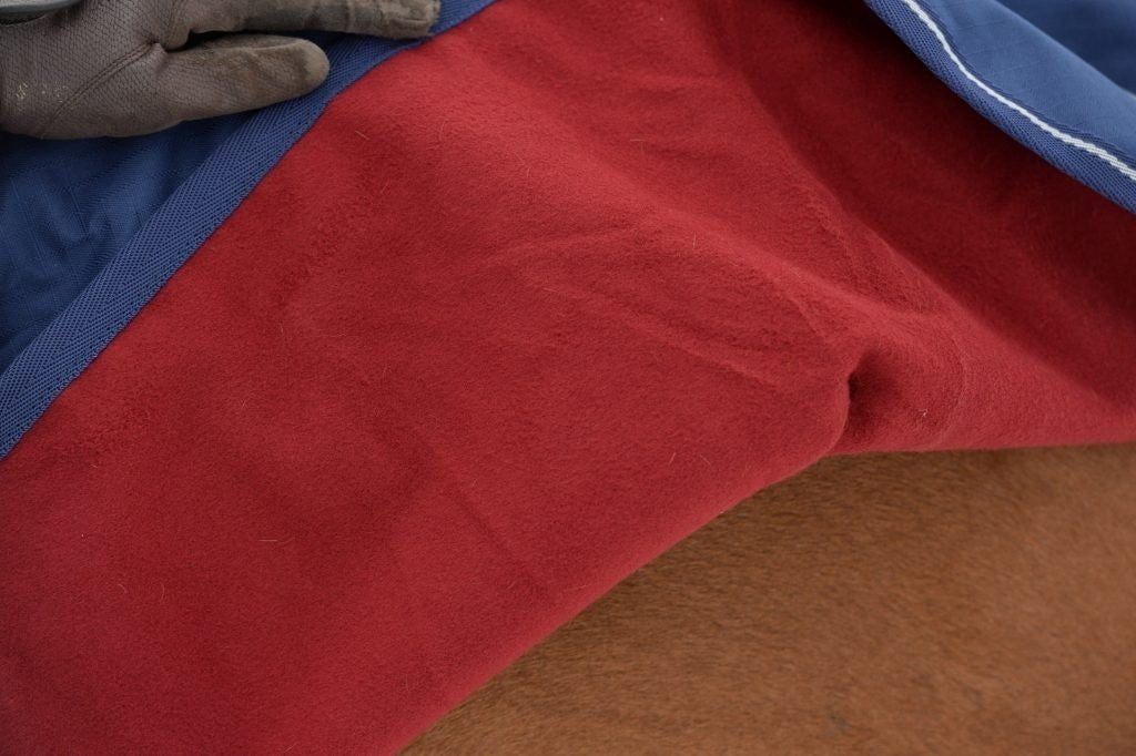 Bucas Uitrij Paardendeken Stapmolen en uitrijdekens - Maddelin Equestrian Bucas