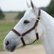 Bucas Veulen Halster Dublin Veulenhalsters - Maddelin Equestrian Bucas