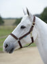Bucas Veulen Halster Dublin Veulenhalsters - Maddelin Equestrian Bucas