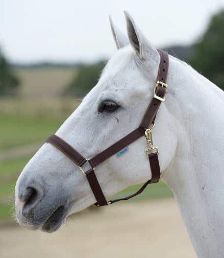 Bucas Veulen Halster Dublin Veulenhalsters - Maddelin Equestrian Bucas