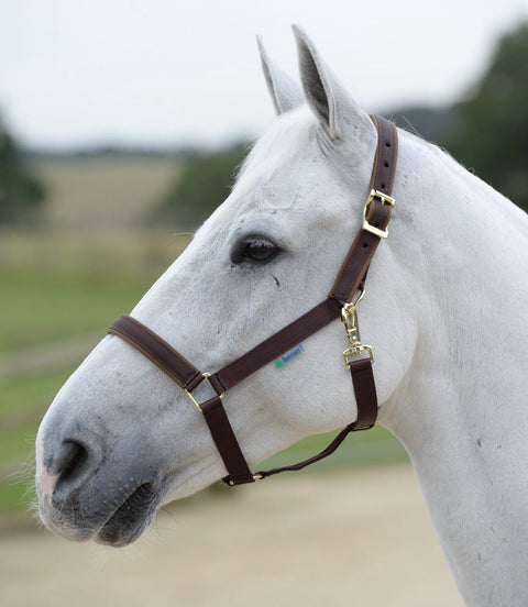 Bucas Veulen Halster Dublin Veulenhalsters - Maddelin Equestrian Bucas