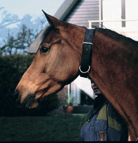 Busse Halsriem WEIDE Zwart One Size Nylon halsters - Maddelin Equestrian Busse