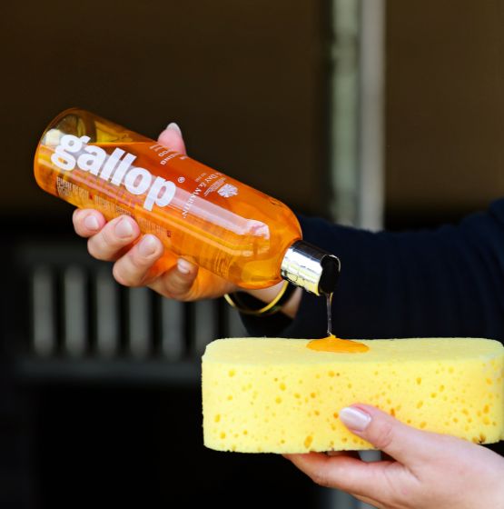 Carr & Day & Martin Gallop Kleurversterkende Shampoos Verzorgingsproducten - Maddelin Equestrian Carr&day&martin