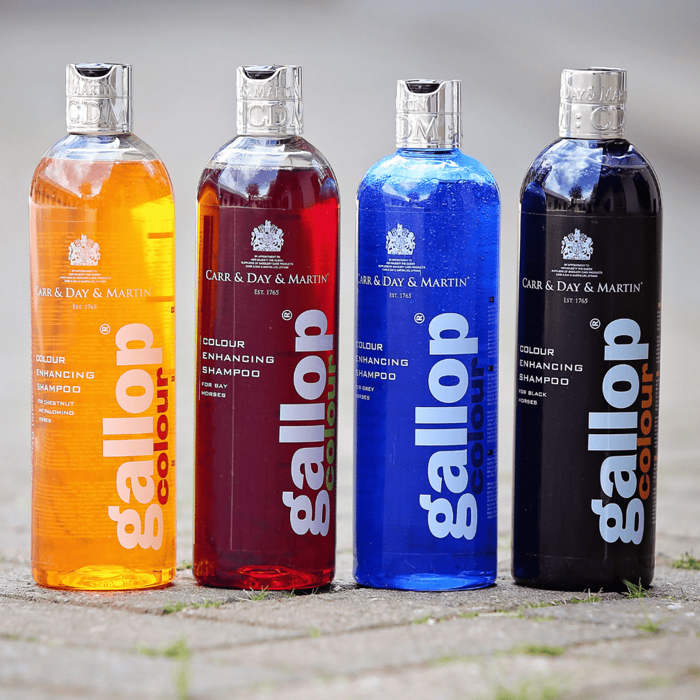 Carr & Day & Martin Gallop Kleurversterkende Shampoos Verzorgingsproducten - Maddelin Equestrian Carr&day&martin