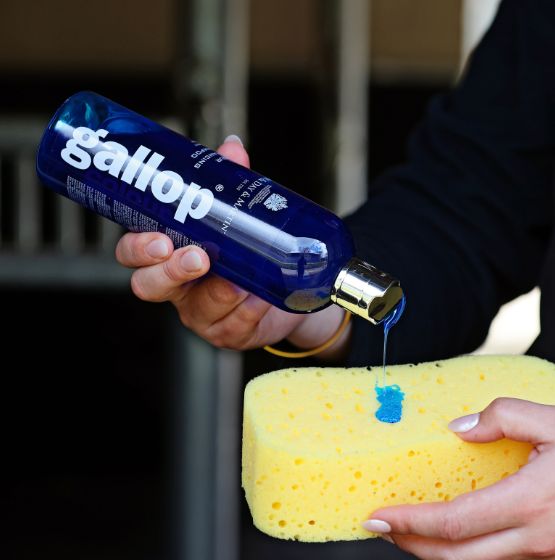 Carr & Day & Martin Gallop Kleurversterkende Shampoos Verzorgingsproducten - Maddelin Equestrian Carr&day&martin