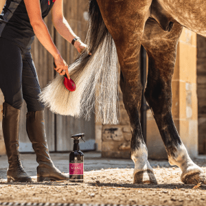 Carr&Day&Martin Canter Manen - en staart Conditioner - 2,5L Verzorgingsproducten - Maddelin Equestrian Carr&day&martin