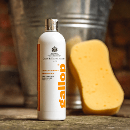 Carr&Day&Martin Gallop Conditioning Shampoo 500ml Verzorgingsproducten - Maddelin Equestrian Carr&day&martin