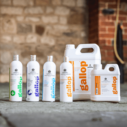 Carr&Day&Martin Gallop Vlekverwijderende Shampoo 500ml Verzorgingsproducten - Maddelin Equestrian Carr&day&martin