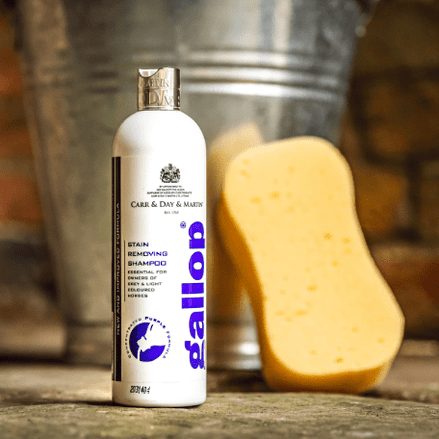 Carr&Day&Martin Gallop Vlekverwijderende Shampoo 500ml Verzorgingsproducten - Maddelin Equestrian Carr&day&martin