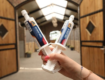 Cavalor An Energy Boost Paste 1 x 60 g Voedingssupplementen - Maddelin Equestrian Cavalor