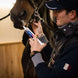 Cavalor An Energy Boost Paste 1 x 60 g Voedingssupplementen - Maddelin Equestrian Cavalor