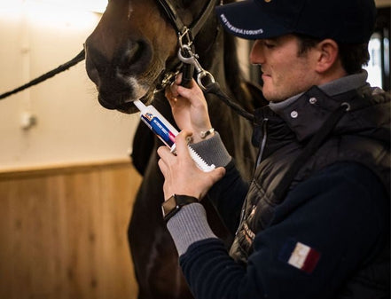 Cavalor An Energy Boost Paste 1 x 60 g Voedingssupplementen - Maddelin Equestrian Cavalor