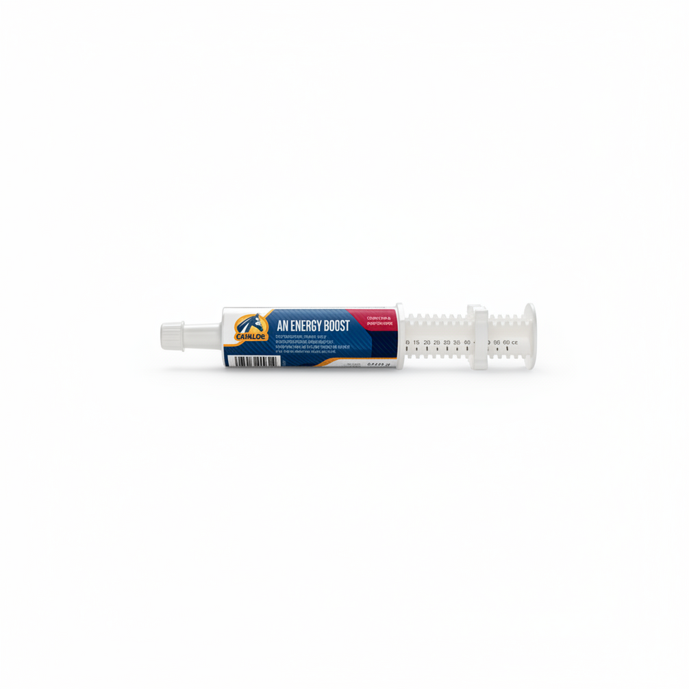 Cavalor An Energy Boost Paste 1 x 60 g Voedingssupplementen - Maddelin Equestrian Cavalor