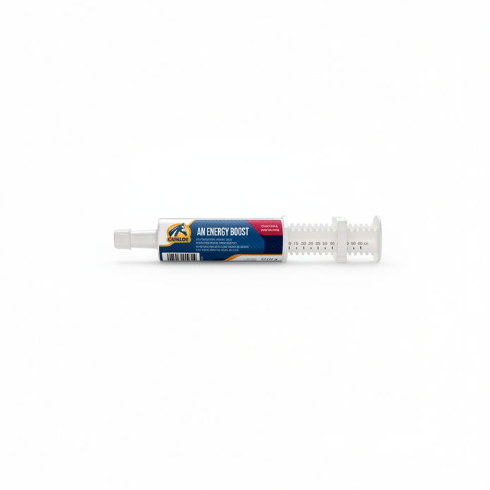 Cavalor An Energy Boost Paste 1 x 60 g Voedingssupplementen - Maddelin Equestrian Cavalor