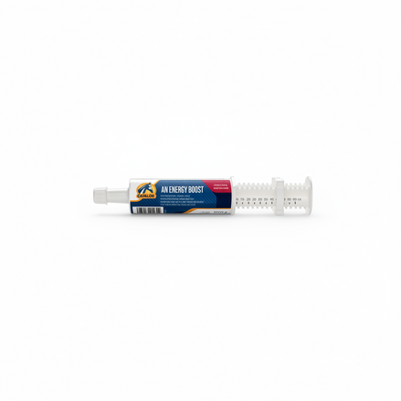 Cavalor An Energy Boost Paste 1 x 60 g Voedingssupplementen - Maddelin Equestrian Cavalor