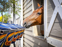 Cavalor Balancer - Wholegain Voedingssupplementen - Maddelin Equestrian Cavalor