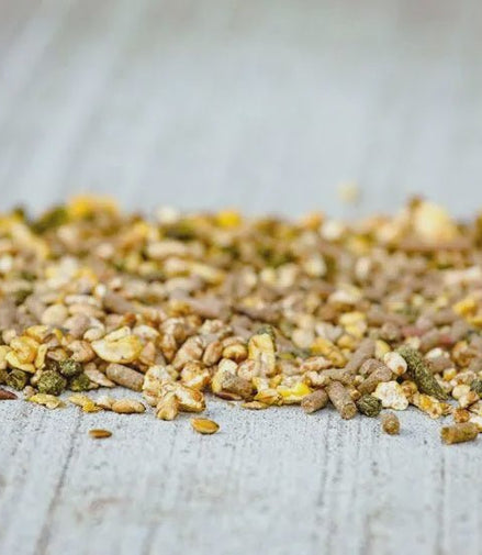 Cavalor Breeding - Probreed Mix Voeding - Maddelin Equestrian Cavalor