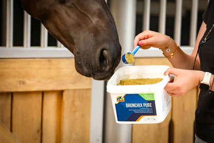 Cavalor Bronchix Pure Voedingssupplementen - Maddelin Equestrian Cavalor