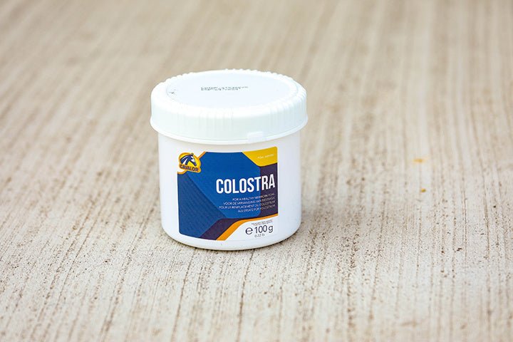 Cavalor Colostra Biestmelk Voedingssupplementen - Maddelin Equestrian Cavalor