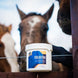 Cavalor Colostra Biestmelk Voedingssupplementen - Maddelin Equestrian Cavalor