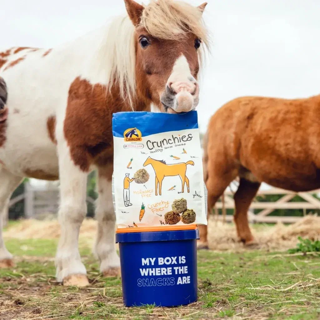 Cavalor Crunchies 1.5 kg Snoepjes - Maddelin Equestrian