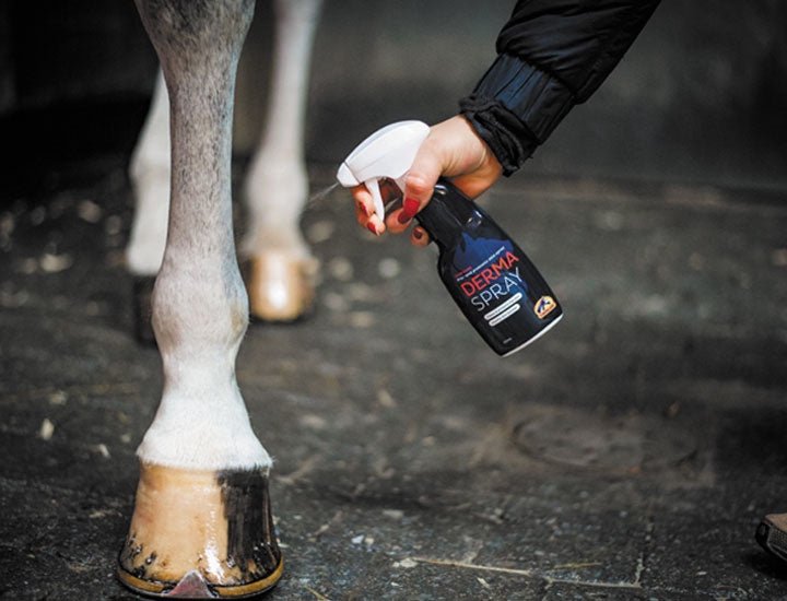Cavalor Derma Spray Verzorgingsproducten - Maddelin Equestrian Cavalor
