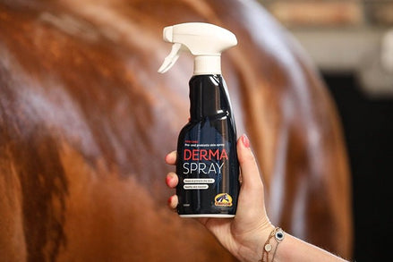 Cavalor Derma Spray Verzorgingsproducten - Maddelin Equestrian Cavalor