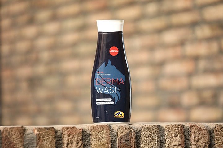 Cavalor Derma Wash – Zuivere verzorging voor een gezonde paardenhuid Verzorgingsproducten - Maddelin Equestrian Cavalor