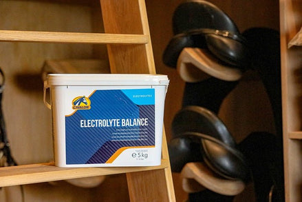 Cavalor Electrolyte Balance Voedingssupplementen - Maddelin Equestrian Cavalor