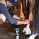 Cavalor Freebute Gel Verzorgingsproducten - Maddelin Equestrian Cavalor