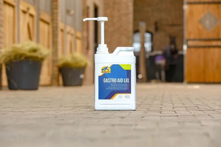 Cavalor Gastro Aid Liq Voedingssupplementen - Maddelin Equestrian Cavalor