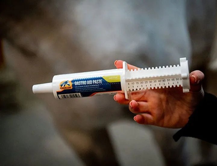 Cavalor Gastro Aid Pasta Doos 6x60g Voedingssupplementen - Maddelin Equestrian Cavalor