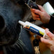 Cavalor Gastro Aid Pasta Doos 6x60g Voedingssupplementen - Maddelin Equestrian Cavalor
