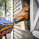 Cavalor Harmony - Tradition Mix Voeding - Maddelin Equestrian Cavalor