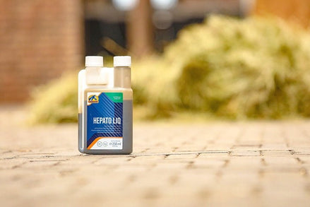 Cavalor Hepato Liq Voedingssupplementen - Maddelin Equestrian Cavalor