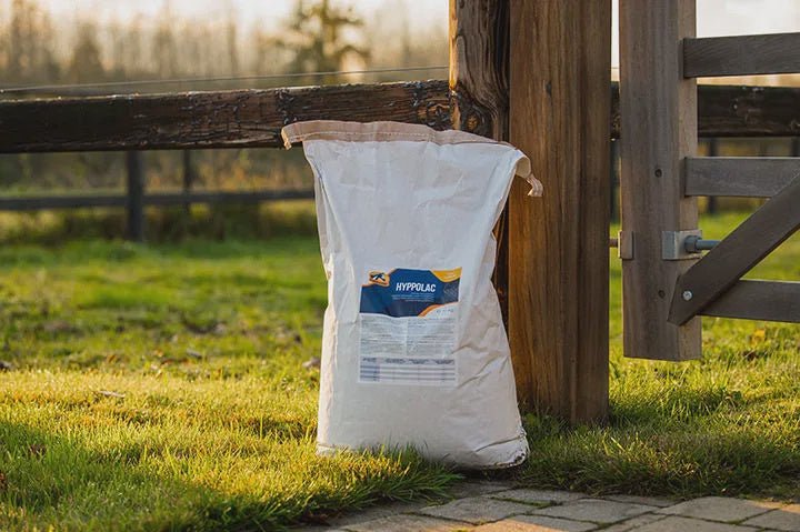 Cavalor Hyppolac Veulenmelk 10kg Voeding - Maddelin Equestrian Cavalor