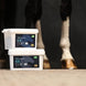 Cavalor Ice Clay – Verkoelende & Herstellende Klei Verzorgingsproducten - Maddelin Equestrian Cavalor