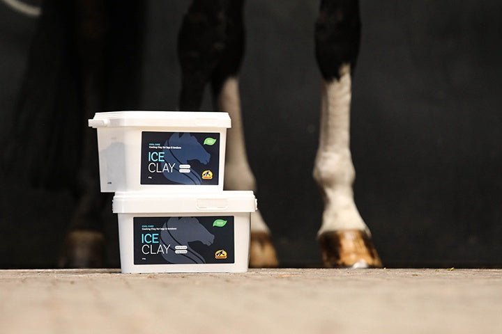 Cavalor Ice Clay – Verkoelende & Herstellende Klei Verzorgingsproducten - Maddelin Equestrian Cavalor