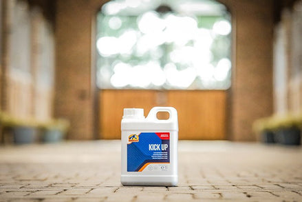 Cavalor Kick Up Voedingssupplementen - Maddelin Equestrian Cavalor