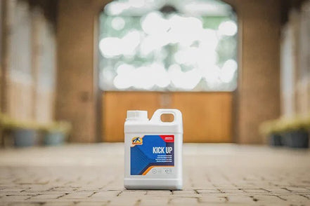 Cavalor Kick Up Voedingssupplementen - Maddelin Equestrian Cavalor