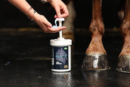 Cavalor Muscle Cooler Verzorgingsproducten - Maddelin Equestrian Cavalor