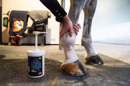 Cavalor Muscle Cooler Verzorgingsproducten - Maddelin Equestrian Cavalor