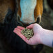 Cavalor Probreed Pellet Voeding - Maddelin Equestrian Cavalor