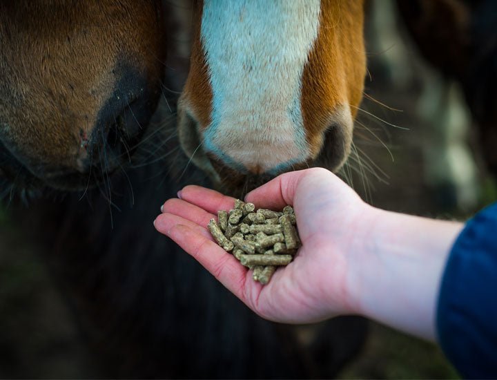 Cavalor Probreed Pellet Voeding - Maddelin Equestrian Cavalor