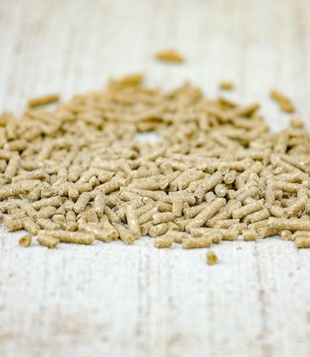 Cavalor Probreed Pellet Voeding - Maddelin Equestrian Cavalor