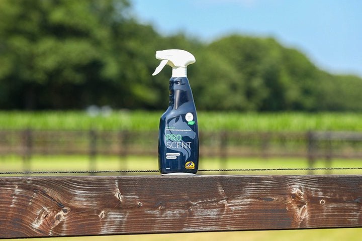 Cavalor ProScent Vliegen & eczeem - Maddelin Equestrian Cavalor