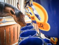 Cavalor Special Care - Fiber Force Gastro Voeding - Maddelin Equestrian Cavalor