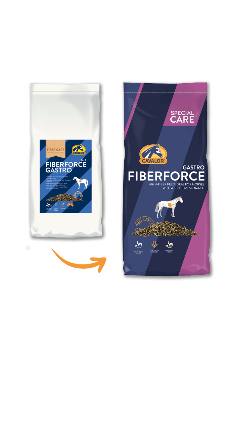 Cavalor Special Care - Fiber Force Gastro Voeding - Maddelin Equestrian Cavalor